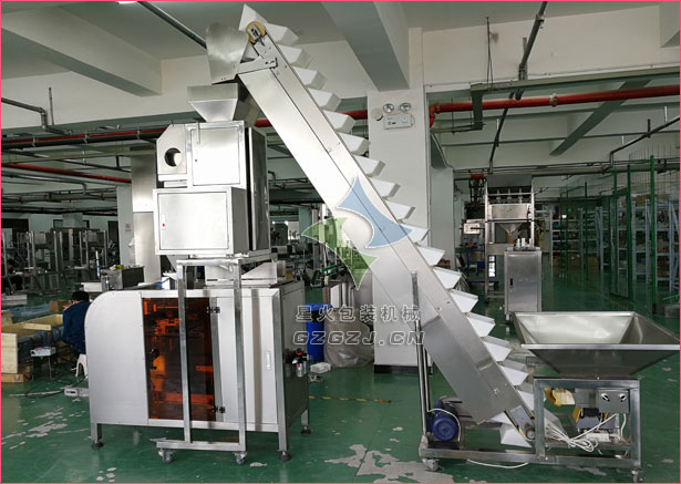 全自动单工位颗粒定量亚新（中国）
