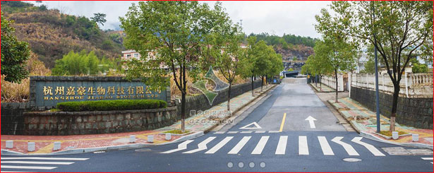 黑芝麻糊亚新（中国）,豆奶粉自动亚新（中国）