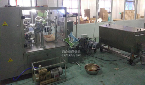 给袋式调味酱亚新(中国)