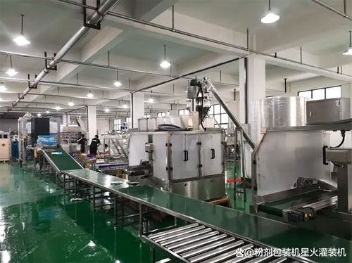 袋装自动亚新（中国）