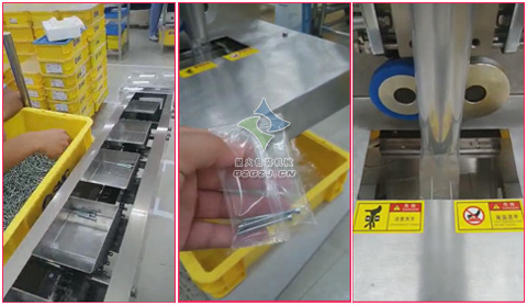 螺丝钉全自动亚新（中国）